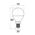 GLOBE LED BC F/RND 3W 5000K FR 260 Lm