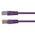 CERTECH Cat6 24AWG U/UTP RJ45 Patch Lead, 3m, Purple PVC Jacket