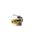 CERTECH Yellow RCA to RCA Keystone
