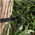 TREE BRACKET TO SUIT ZOOM-PRO-5 SERIES