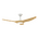 STRIKE 48 INCH DC 3 BLADE CEILING FAN