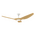 STRIKE 60 INCH DC 3 BLADE CEILING FAN