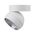 MOON 6/9W 240V TRIO SURFACE MOUNT LIGHT FLOOD