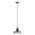 HOIST/GLASS PNDT 1XE27