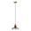 HOIST/GLASS PNDT 1XE27