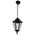 GT-420 Turin Pendant Light - Powder Coated Finish / B22
