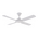 FRESCO 4 BLADE 52" DC IP66 CEILING FAN & LED LIGHT