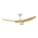 STRIKE 48 INCH DC 3 BLADE CEILING FAN