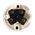 Surface Socket Flush | 10A 240V | Recessed Mount | Impact-Resistant by Transco