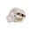 Side Entry Plug 10A | Rewireable | Flat Earth Pin | White Clear by Transco
