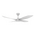 BLAST 52 INCH DC 4 BLADE CEILING FAN