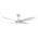 BLAST 52 INCH DC 4 BLADE CEILING FAN