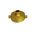 Brass Hose Adaptor 65mm Female QRT to 25mm BSP | Durable & Corrosion Resistant | Firefighting Applications by Firebox