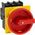 Eaton P1 Main Switch 32A | Emergency Stop Function | IP65 Protection | Flush Mount by Eaton