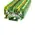DS Series Spring Clamp Terminal – Top Entry – 2 Way 4.0mm – Earth
