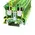 DC Series Screw Clamp Terminal 16mm – Earth
