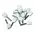 Twin Cord End Ferrule 0.5mm White