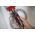Voltage Tester 690V AC/DC CAT III 690V