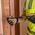 No. 2 Phillips Screw Holding Screwdriver, 18 cm Round Shank