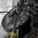 15-in-1 Multi-Bit Ratcheting Screwdriver