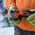 Coping Replacement Blade for 44218 - 3-pack