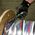 Pocket Knife, Black, Drop Point Blade