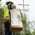 Canvas Bucket with Bucket Top, 55.9 cm