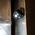Rechargeable Headlamp and Work Light, 300 Lumens, All-Day Runtime