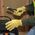 Cowhide Leather Gloves, Medium