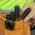 Screwdriver Set, Slotted and Phillips, 6-Piece