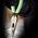 Pliers, Needle Nose Side-Cutters, High-Visibility, 21.4 cm