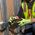 Diagonal Cutting Pliers, High-Leverage, 20.5 cm