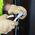 Diagonal-Cutting Pliers, Angled-Head, High-Visibility, 20.5 cm