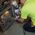 Wi-Fi Borescope