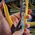 Data Cable Crimping Tool for Pass-Thru™, Compact
