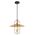 PAPILLON: Interior Oblong Iron with Glass Coolie Pendant Lights