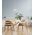 STRAND: Iron and Wood Dome Cage Pendant Lights