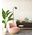 FLOTAR: Interior Cylinder Iron Shade with Antique Brass Highlight Floor Lamps