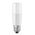T40 12V LED Globes (9W)