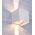 TOCA: Exterior LED Adjustable Lens Cover Surface Mounted Up/Down Wall Lights IP54