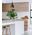 ZARA: Modern Bell Shape Pendant Lights