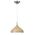 ZARA: Modern Dome Shape Pendant Lights