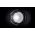 360˚ Site Light