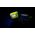 LED Detailing Head Torch