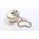 Allen-Bradley 1485AC1 DeviceNet Accessory Cap