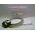 Allen-Bradley 1492CAB010RTN32O Digital Cable 1.0m