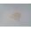 Allen-Bradley 1492SP3 Single Circuit Block Separation Plate