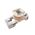 Allen-Bradley TC049 Coil Renewal 208VAC 60Hz