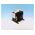 Allen-Bradley 1497GM40N Control Circuit Transformer 500VA