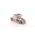Allen-Bradley TE482 Coil for Contactor 42V/50Hz 48V/60Hz